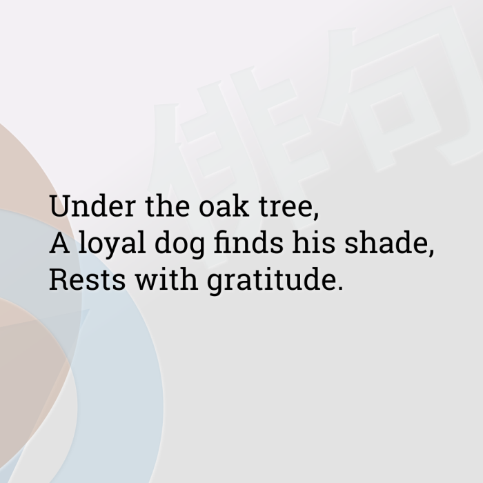 Under the oak tree, A loyal dog finds his shade, Rests with gratitude.