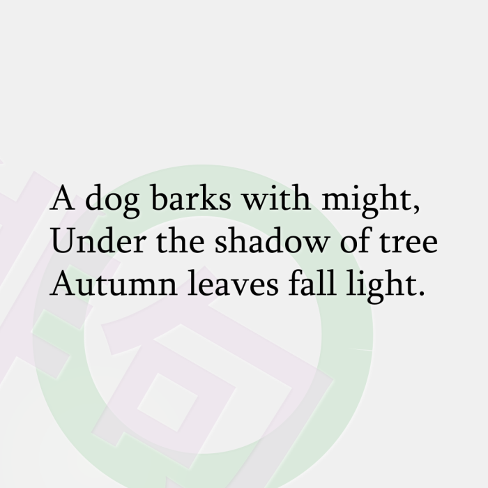 A dog barks with might, Under the shadow of tree Autumn leaves fall light.