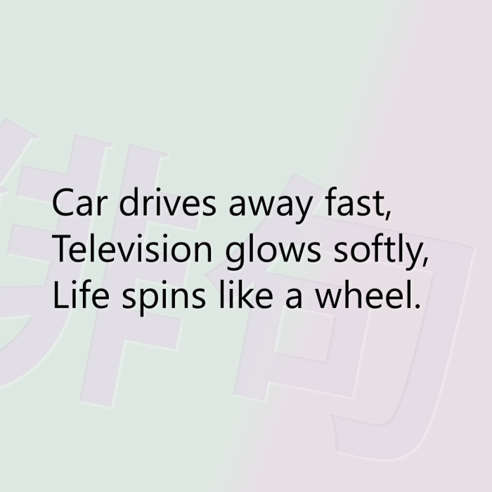 Car drives away fast, Television glows softly, Life spins like a wheel.