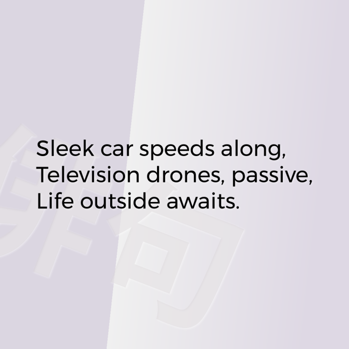 Sleek car speeds along, Television drones, passive, Life outside awaits.