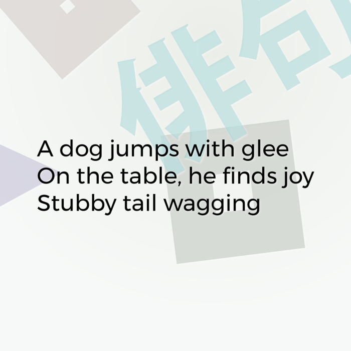 A dog jumps with glee On the table, he finds joy Stubby tail wagging