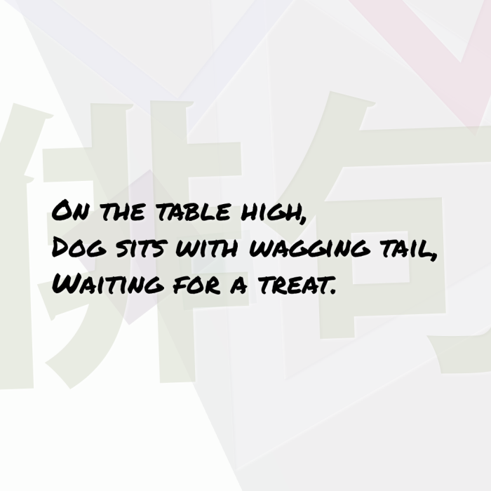 On the table high, Dog sits with wagging tail, Waiting for a treat.