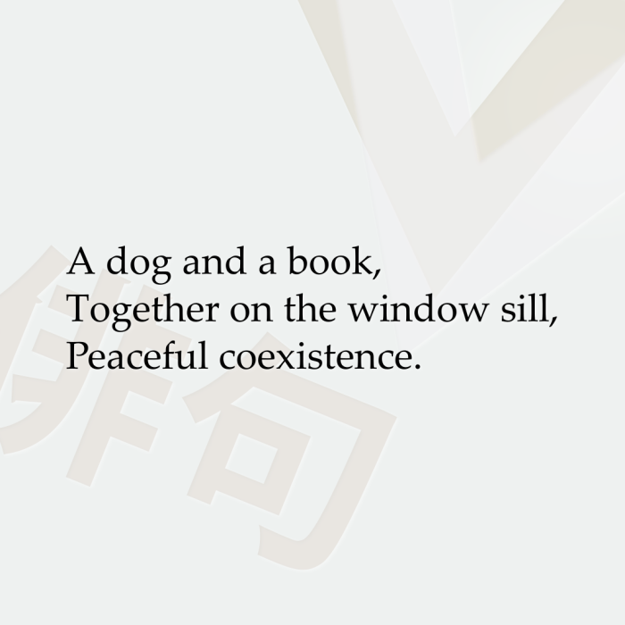 A dog and a book, Together on the window sill, Peaceful coexistence.