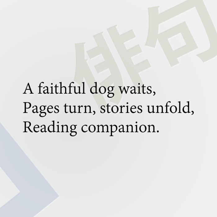 A faithful dog waits, Pages turn, stories unfold, Reading companion.
