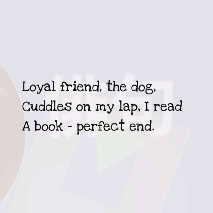 Loyal friend, the dog, Cuddles on my lap, I read A book – perfect end.