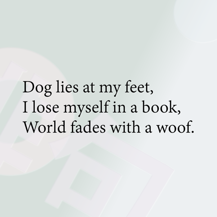 Dog lies at my feet, I lose myself in a book, World fades with a woof.