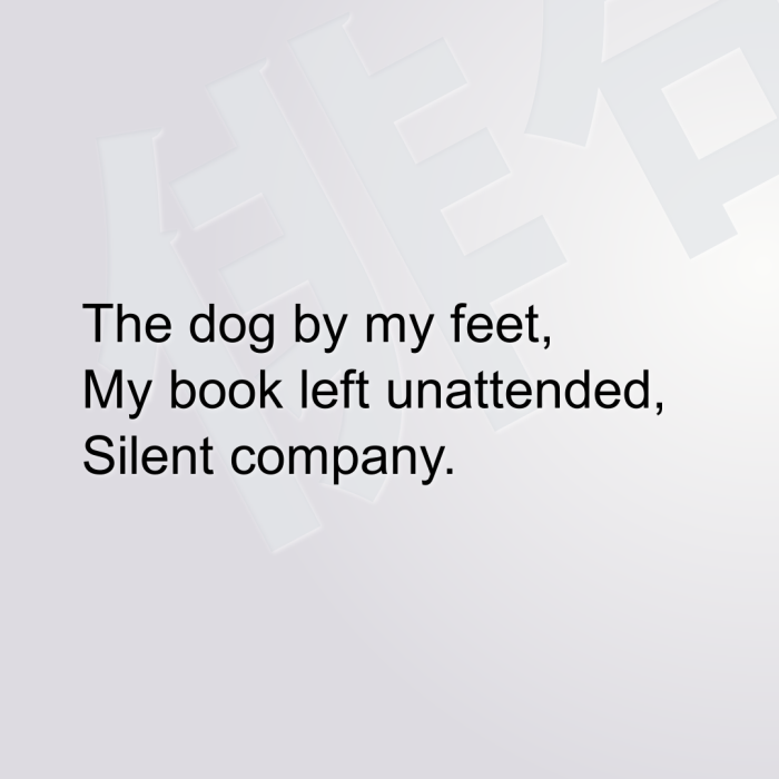 The dog by my feet, My book left unattended, Silent company.