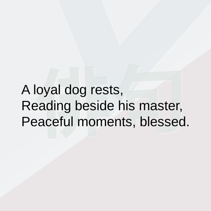 A loyal dog rests, Reading beside his master, Peaceful moments, blessed.