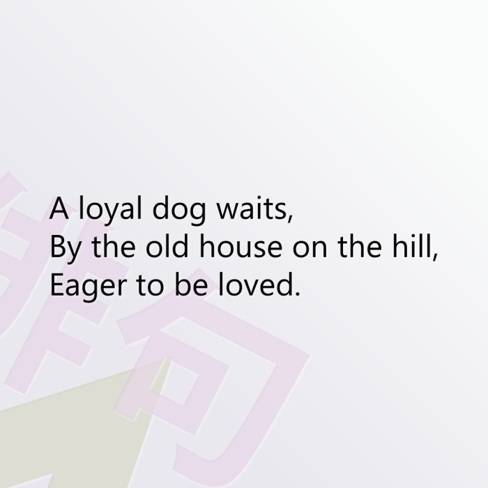 A loyal dog waits, By the old house on the hill, Eager to be loved.