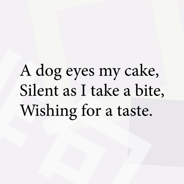 A dog eyes my cake, Silent as I take a bite, Wishing for a taste.
