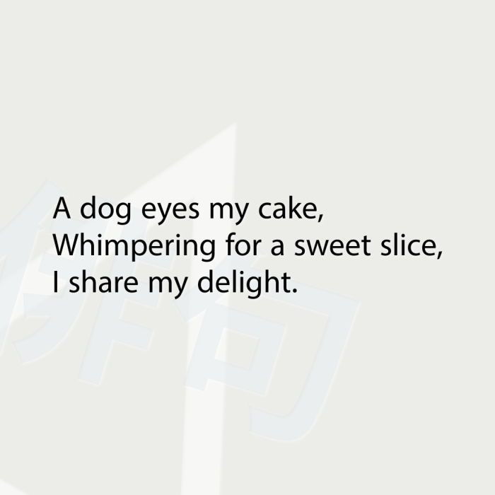 A dog eyes my cake, Whimpering for a sweet slice, I share my delight.