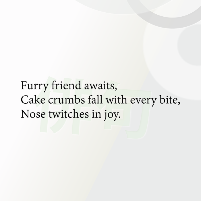 Furry friend awaits, Cake crumbs fall with every bite, Nose twitches in joy.
