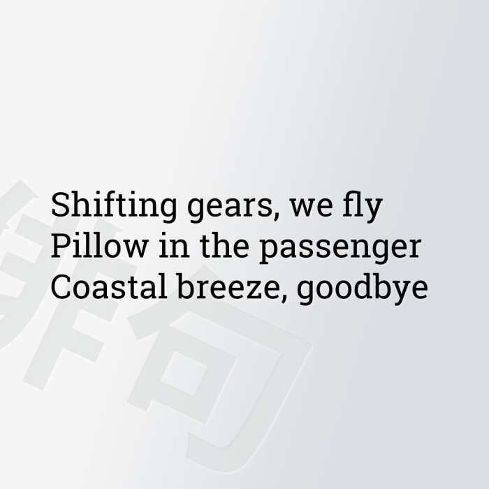 Shifting gears, we fly Pillow in the passenger Coastal breeze, goodbye