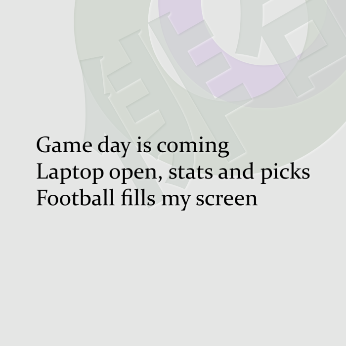 Game day is coming Laptop open, stats and picks Football fills my screen