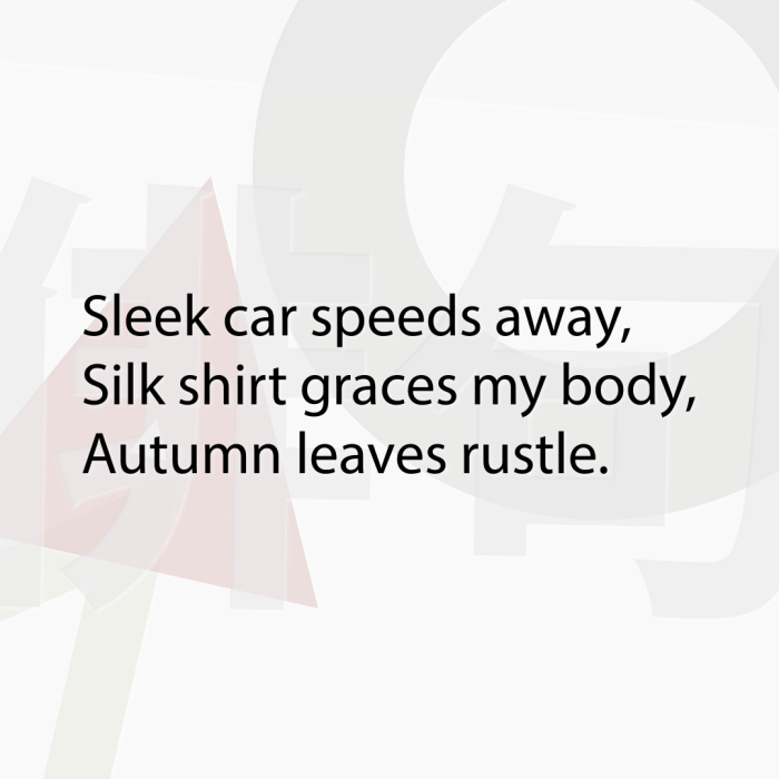 Sleek car speeds away, Silk shirt graces my body, Autumn leaves rustle.