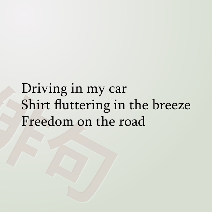 Driving in my car Shirt fluttering in the breeze Freedom on the road