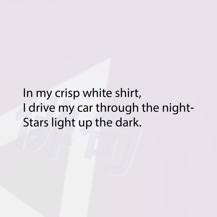 In my crisp white shirt, I drive my car through the night- Stars light up the dark.
