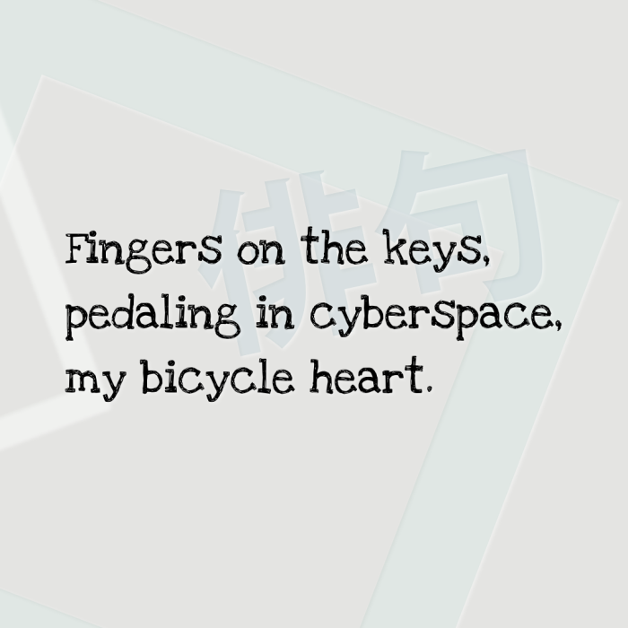 Fingers on the keys, pedaling in cyberspace, my bicycle heart.