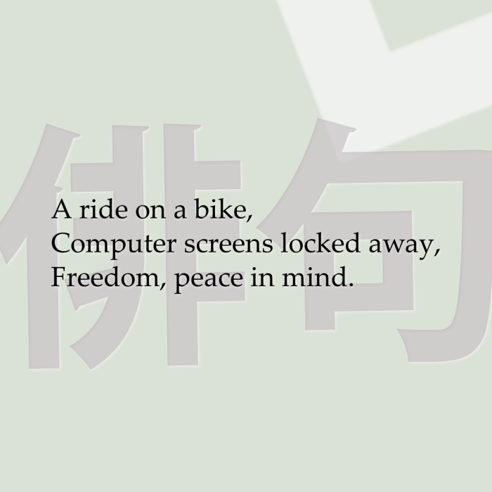 A ride on a bike, Computer screens locked away, Freedom, peace in mind.