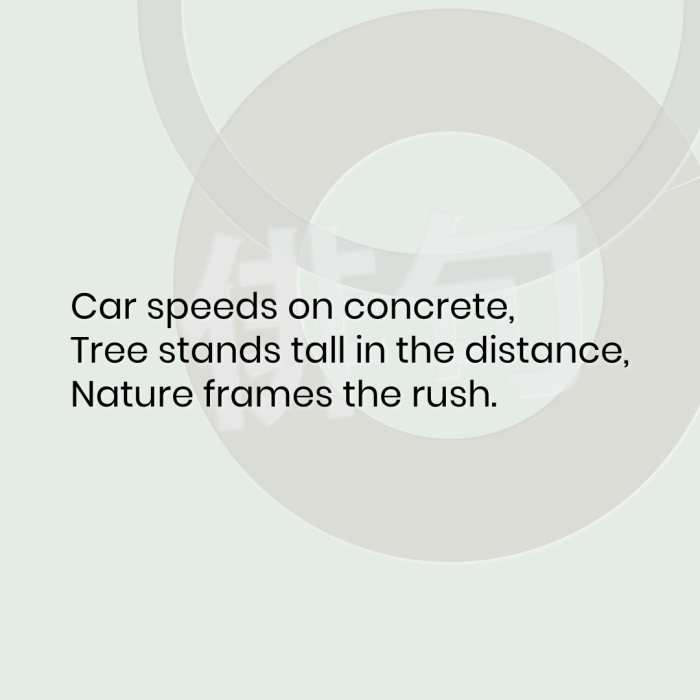 Car speeds on concrete, Tree stands tall in the distance, Nature frames the rush.