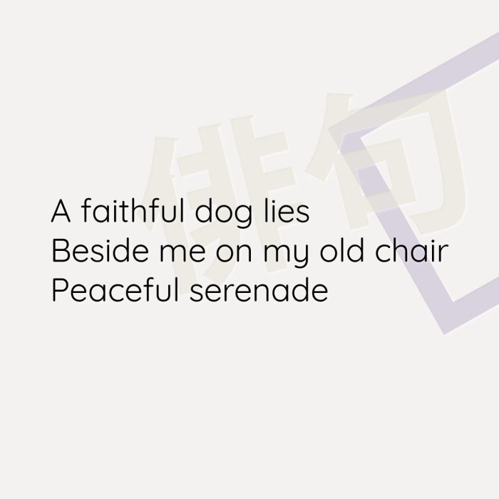 A faithful dog lies Beside me on my old chair Peaceful serenade