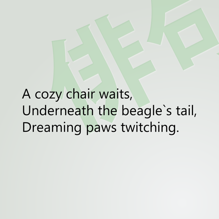 A cozy chair waits, Underneath the beagle`s tail, Dreaming paws twitching.