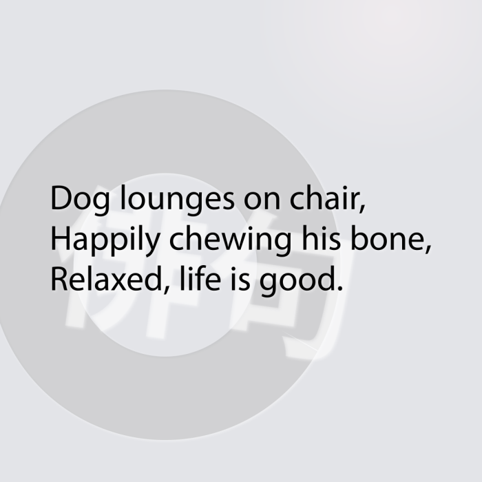 Dog lounges on chair, Happily chewing his bone, Relaxed, life is good.