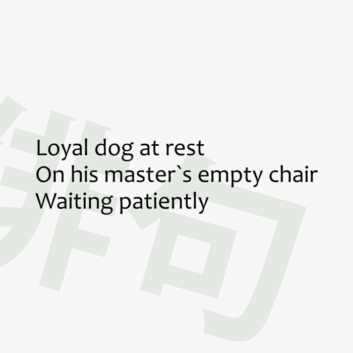 Loyal dog at rest On his master`s empty chair Waiting patiently