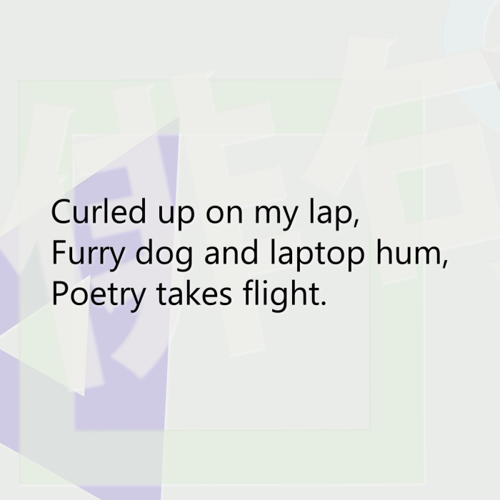 Curled up on my lap, Furry dog and laptop hum, Poetry takes flight.