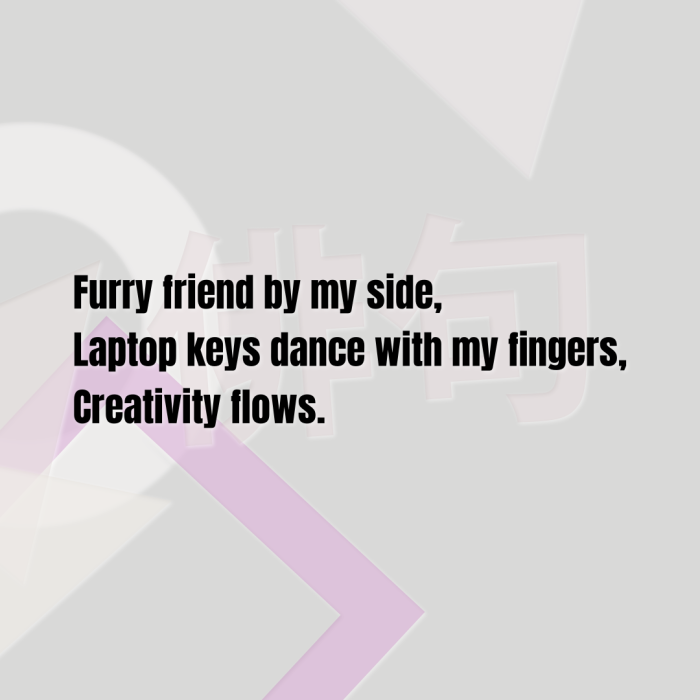 Furry friend by my side, Laptop keys dance with my fingers, Creativity flows.