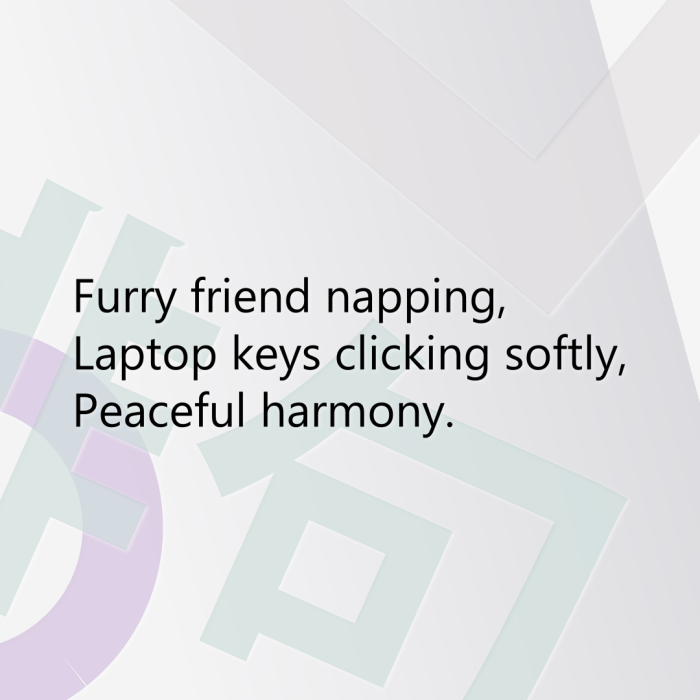 Furry friend napping, Laptop keys clicking softly, Peaceful harmony.