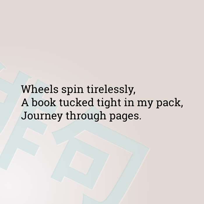 Wheels spin tirelessly, A book tucked tight in my pack, Journey through pages.