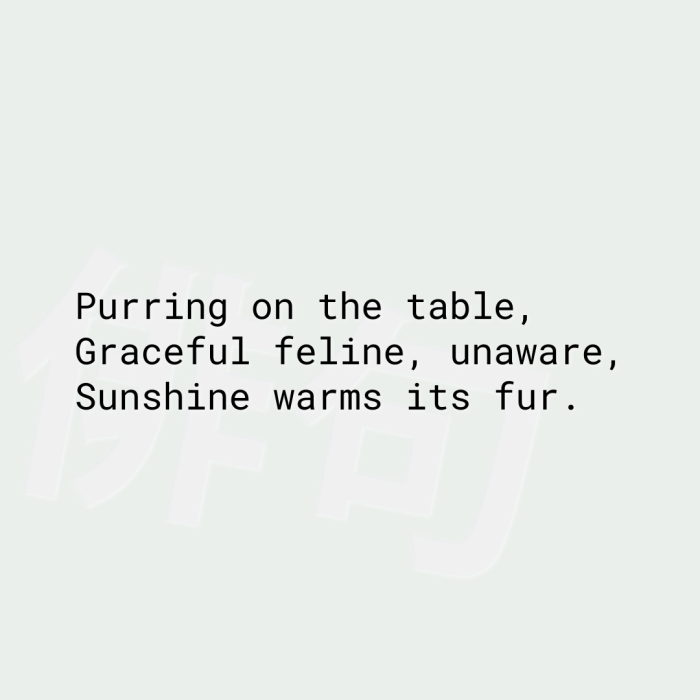 Purring on the table, Graceful feline, unaware, Sunshine warms its fur.