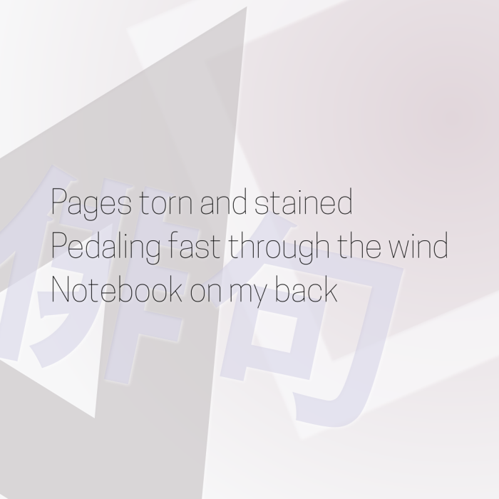 Pages torn and stained Pedaling fast through the wind Notebook on my back