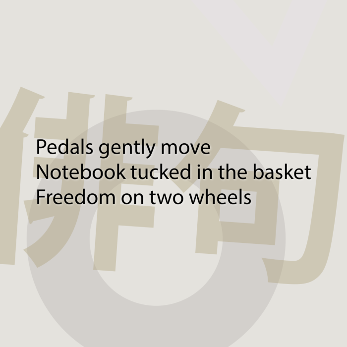 Pedals gently move Notebook tucked in the basket Freedom on two wheels
