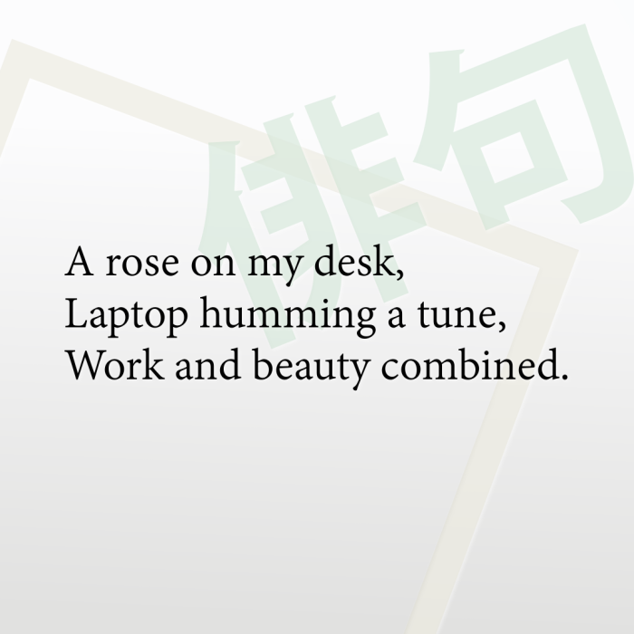 A rose on my desk, Laptop humming a tune, Work and beauty combined.