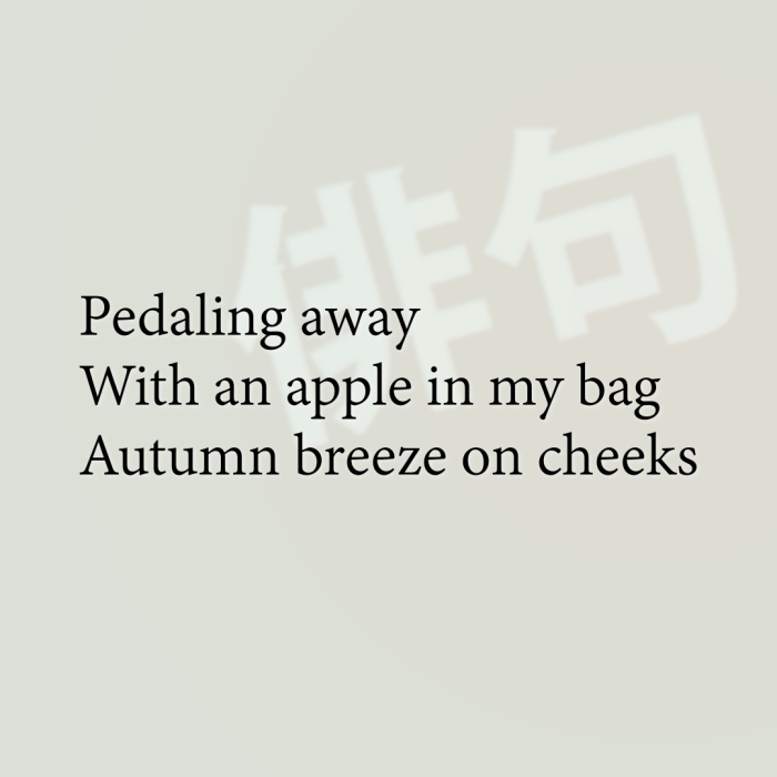 Pedaling away With an apple in my bag Autumn breeze on cheeks
