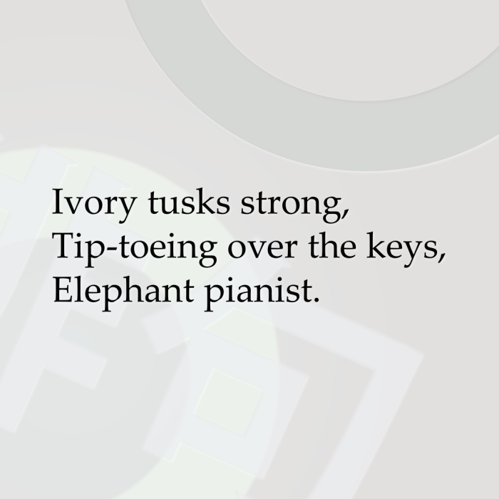 Ivory tusks strong, Tip-toeing over the keys, Elephant pianist.