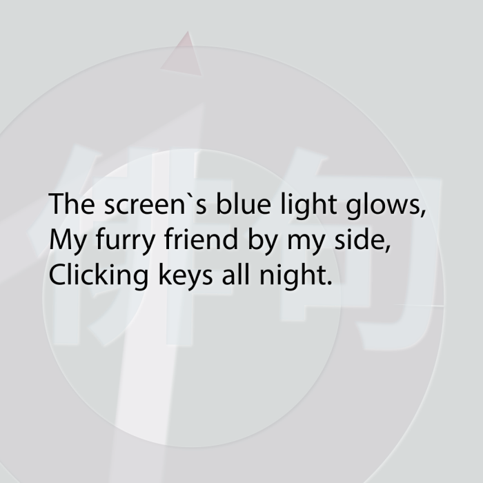 The screen`s blue light glows, My furry friend by my side, Clicking keys all night.