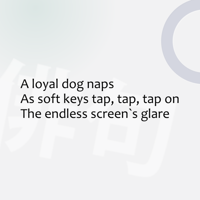 A loyal dog naps As soft keys tap, tap, tap on The endless screen`s glare