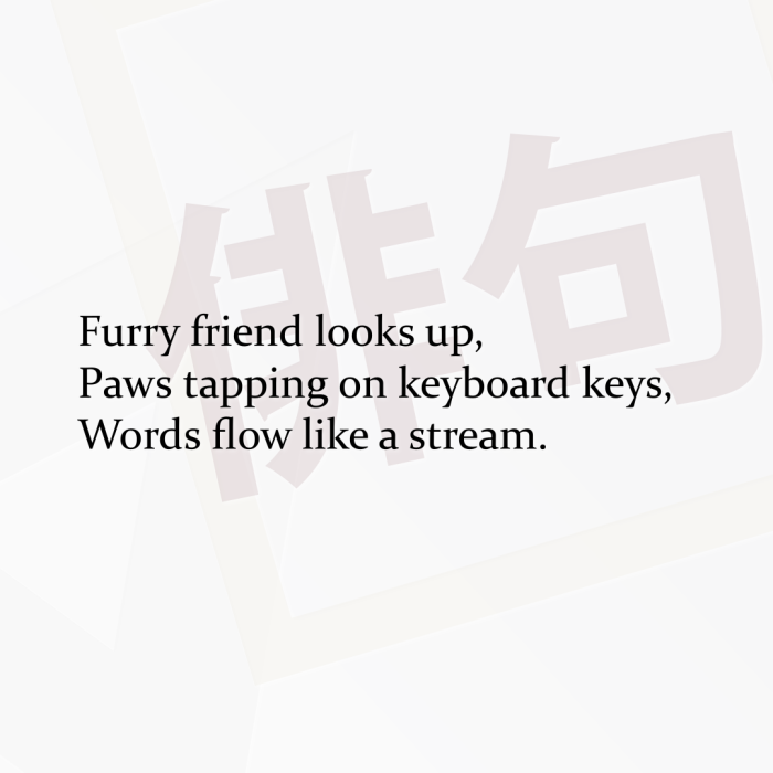 Furry friend looks up, Paws tapping on keyboard keys, Words flow like a stream.