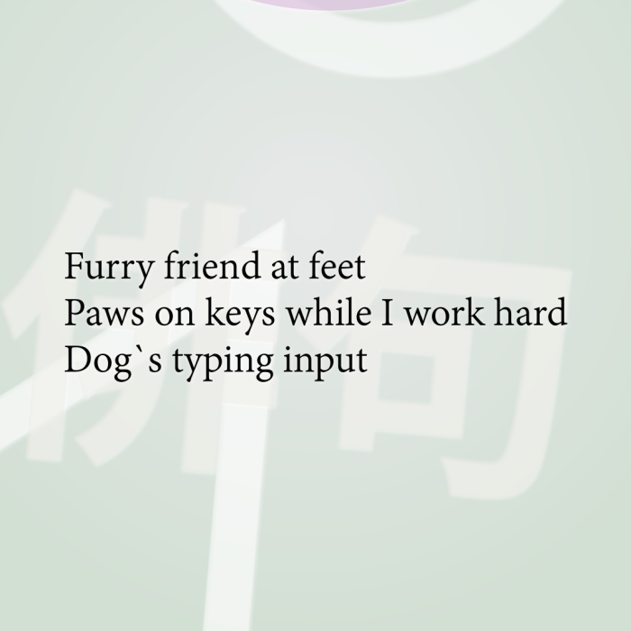 Furry friend at feet Paws on keys while I work hard Dog`s typing input