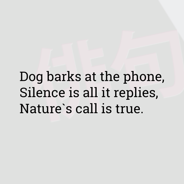 Dog barks at the phone, Silence is all it replies, Nature`s call is true.