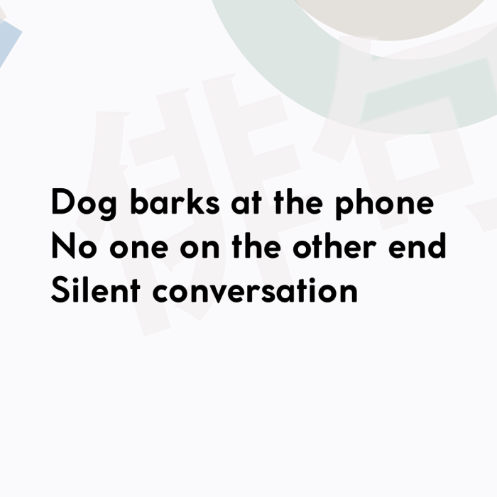 Dog barks at the phone No one on the other end Silent conversation