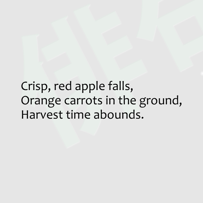 Crisp, red apple falls, Orange carrots in the ground, Harvest time abounds.
