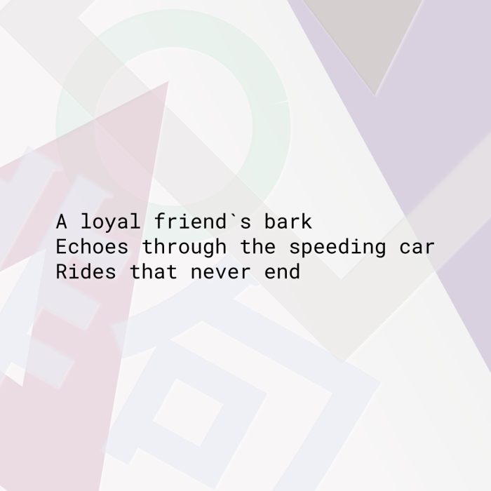 A loyal friend`s bark Echoes through the speeding car Rides that never end