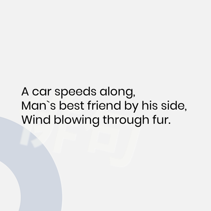 A car speeds along, Man`s best friend by his side, Wind blowing through fur.