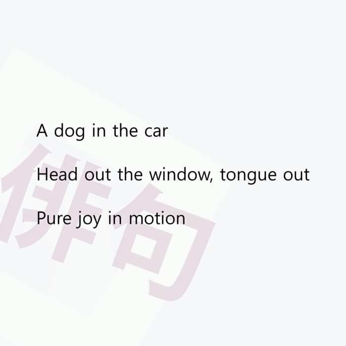 A dog in the car Head out the window, tongue out Pure joy in motion