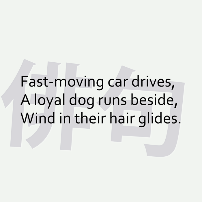 Fast-moving car drives, A loyal dog runs beside, Wind in their hair glides.