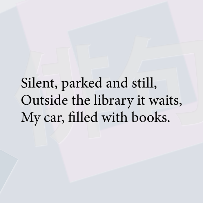 Silent, parked and still, Outside the library it waits, My car, filled with books.